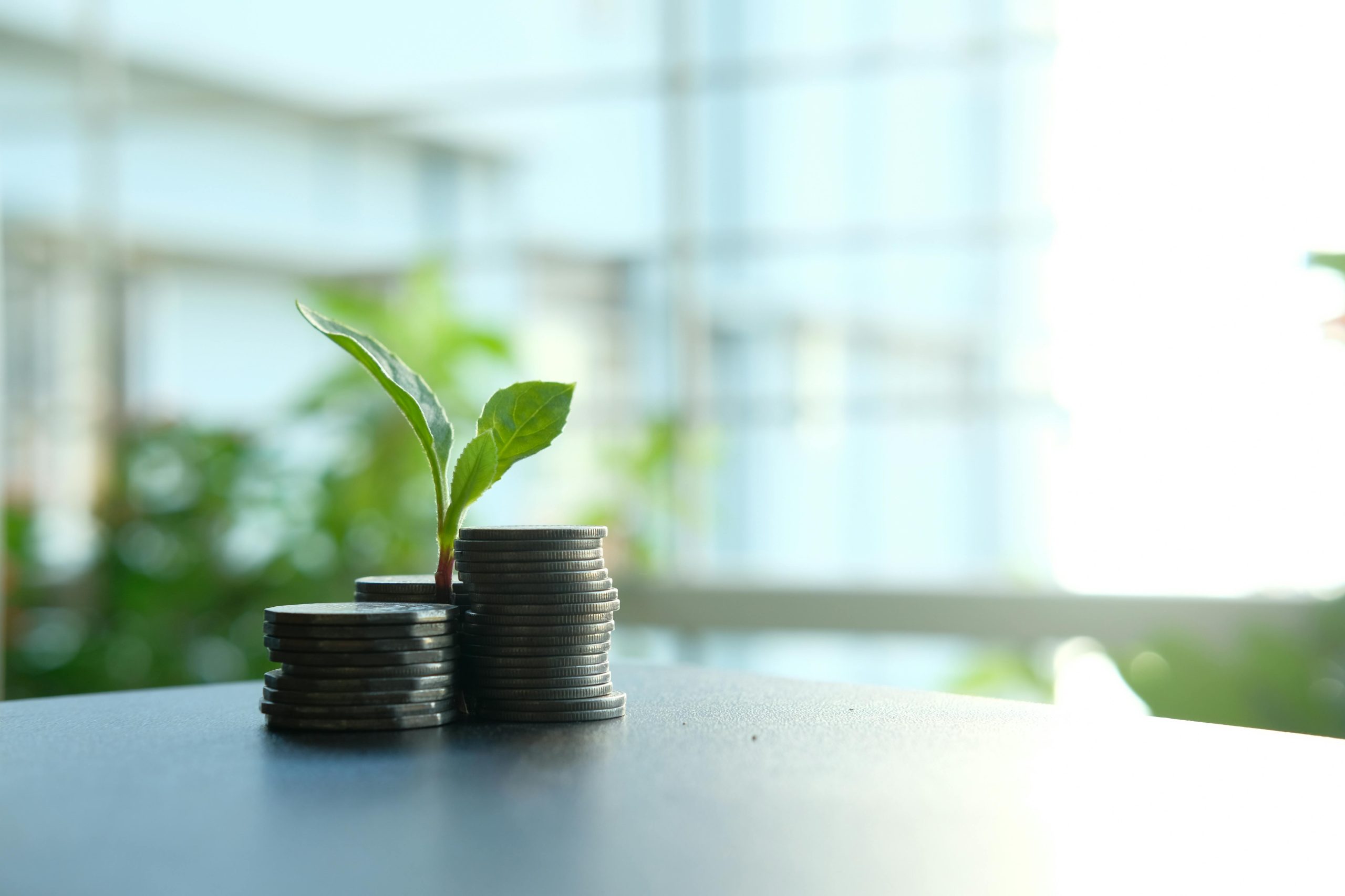 Where to invest your money in 2025